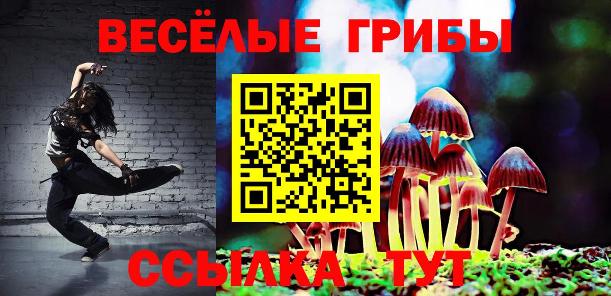 Псилоцибиновые грибы мухоморы Клин